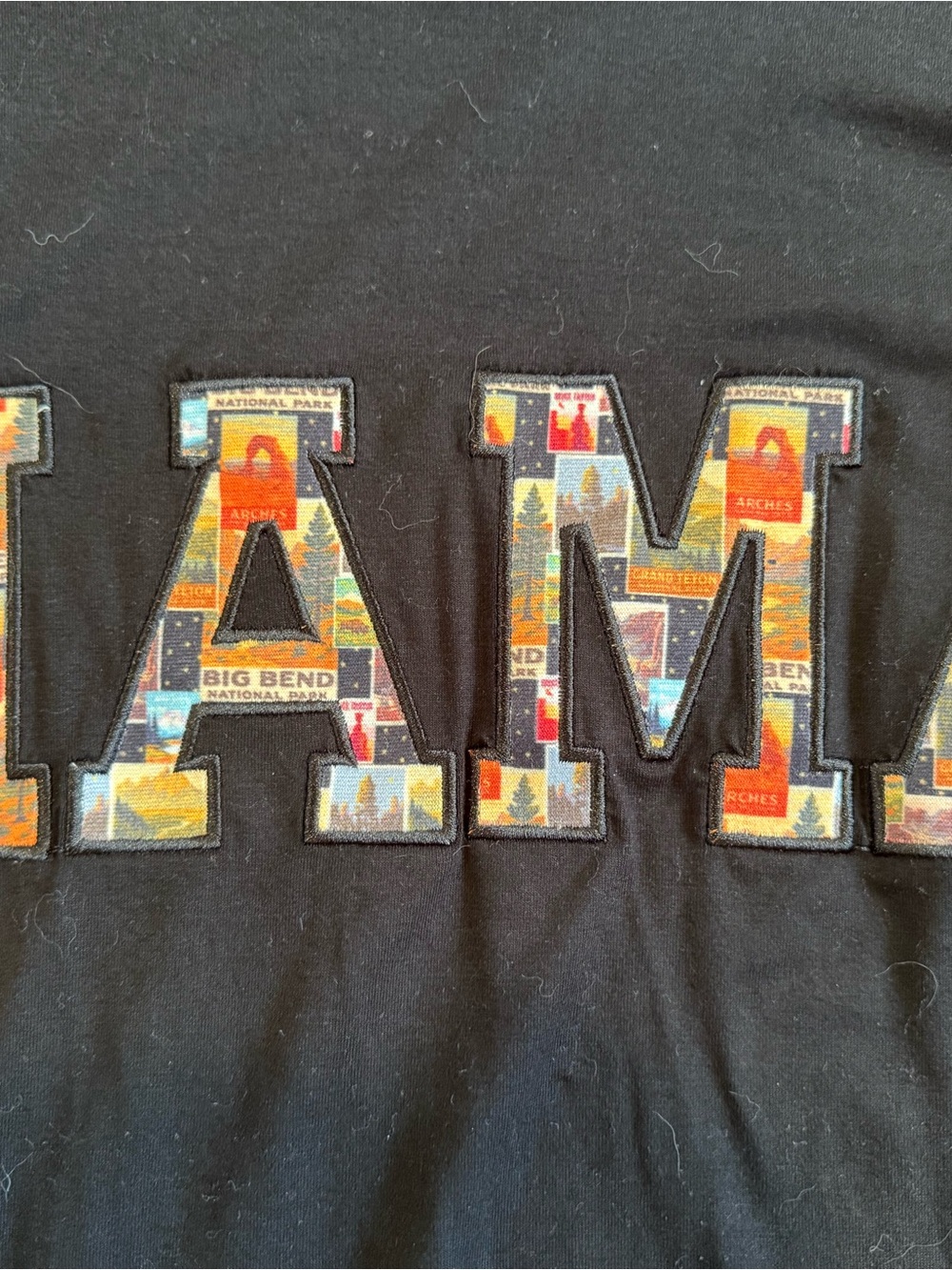 BAMBOO Black Sweatshirt with Multicolor National Park Patch Letters
